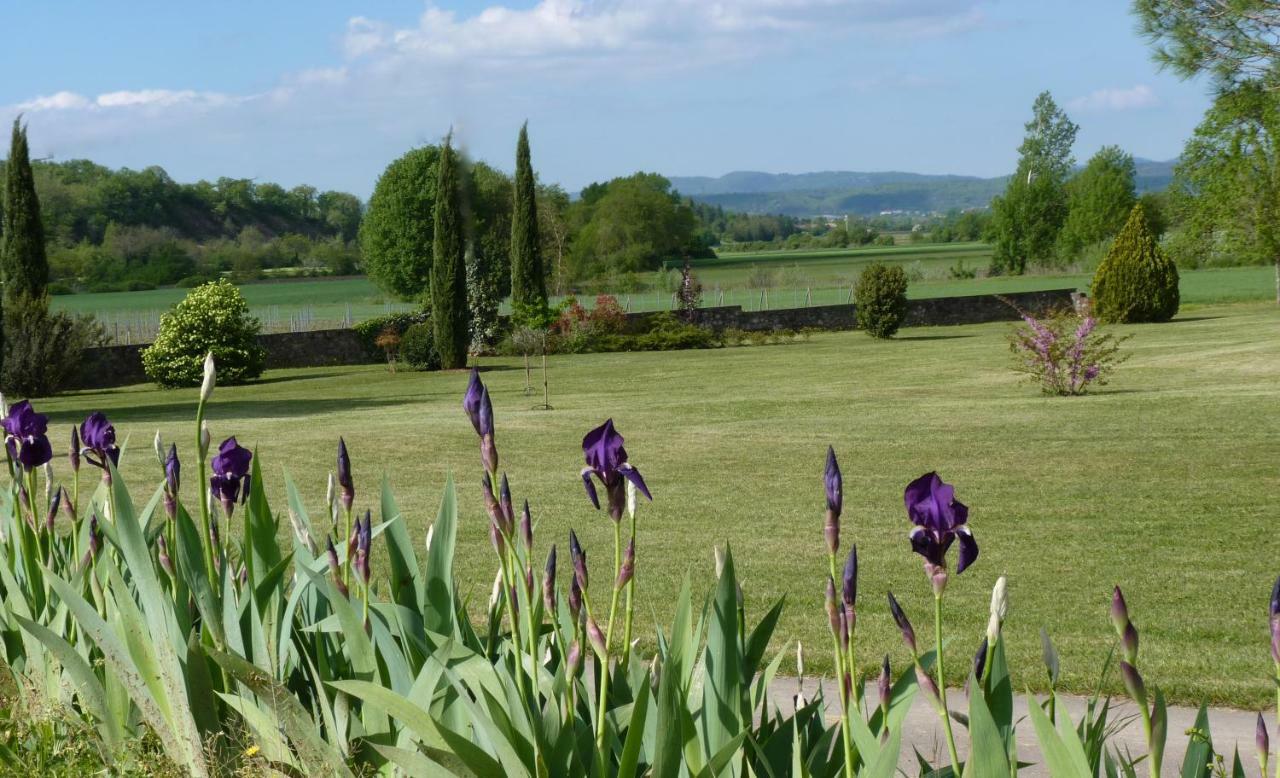 Gites Chateau De La Selve Grospierres Esterno foto