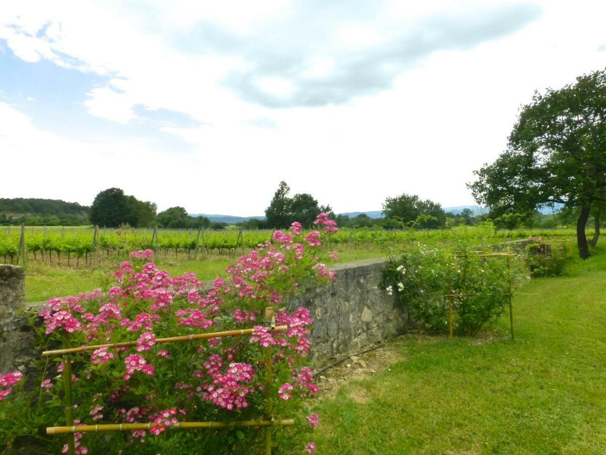 Gites Chateau De La Selve Grospierres Esterno foto